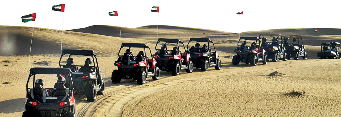 Self Drive FJ Cruiser Safari