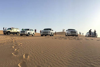 Self Drive FJ Cruiser Safari