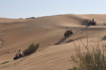 Self Drive FJ Cruiser Safari